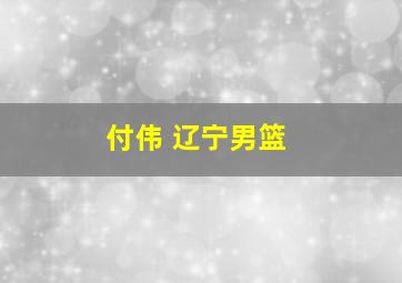 付伟 辽宁男篮